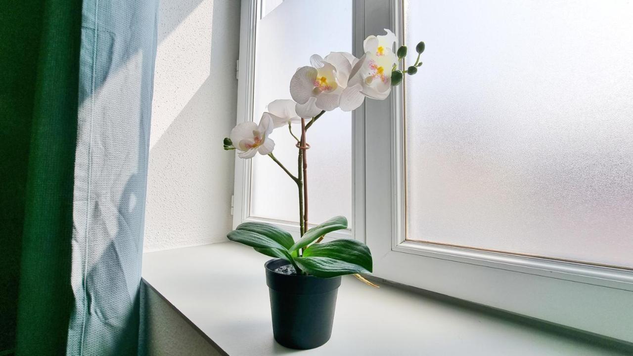 Chez Jm - Calme - Chic - Fibre - Relax Bnb 牟罗兹 外观 照片
